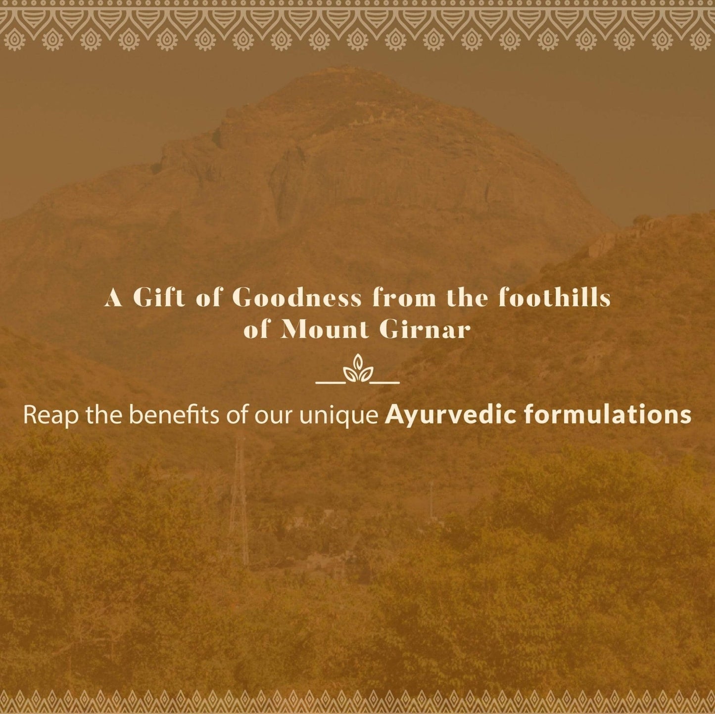 Ayurveda Special