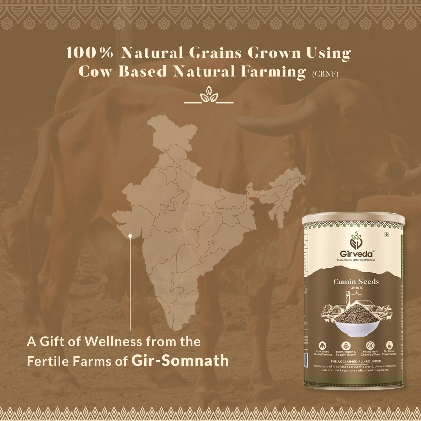 Cumin Seeds - Jeera
