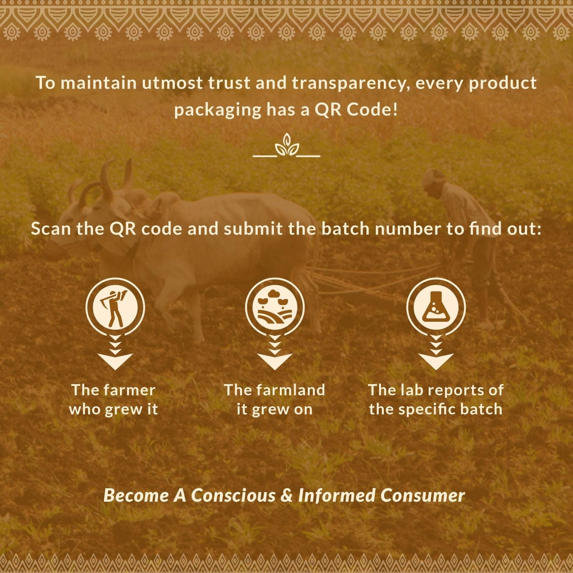 Health & Wellness Duo