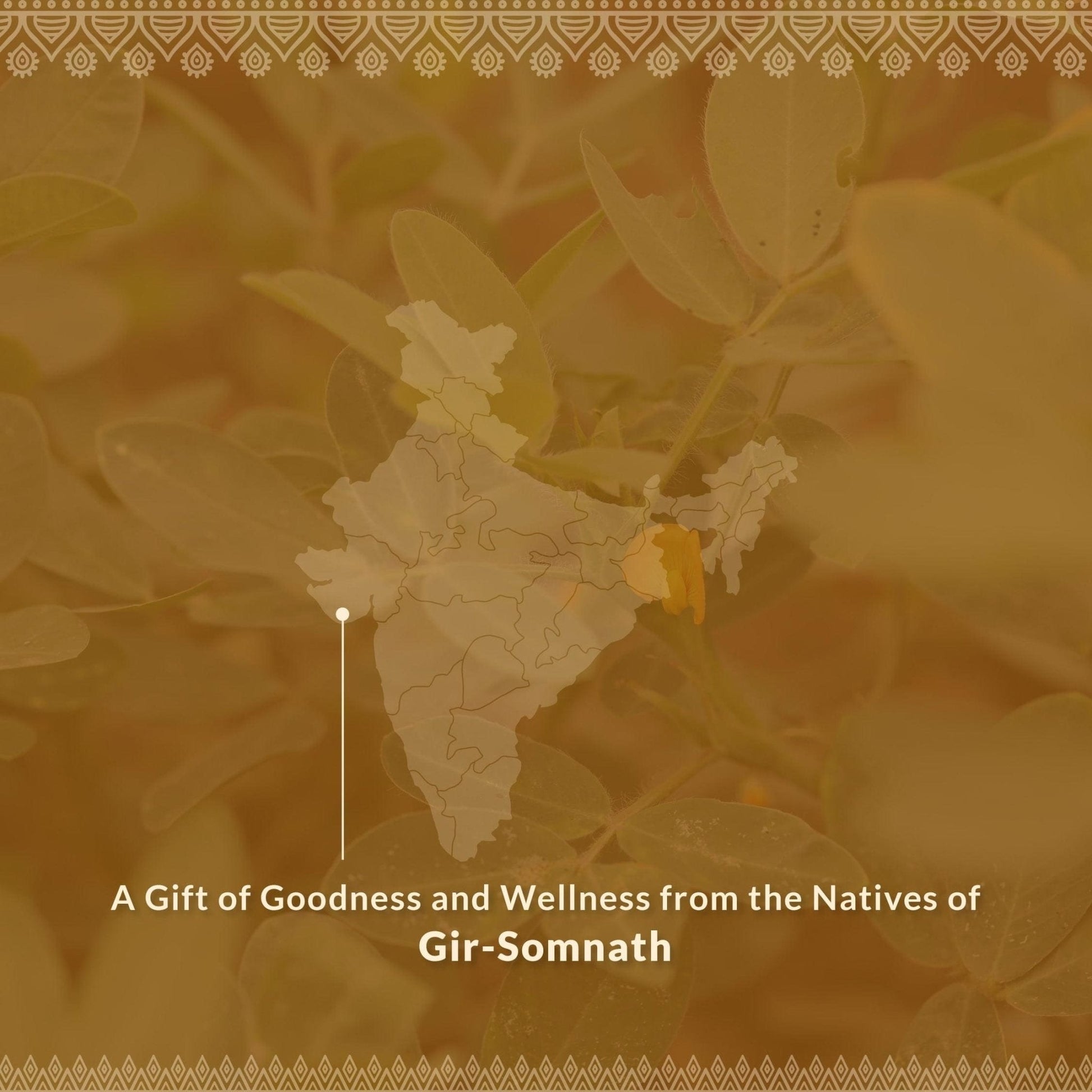 Health & Wellness Duo