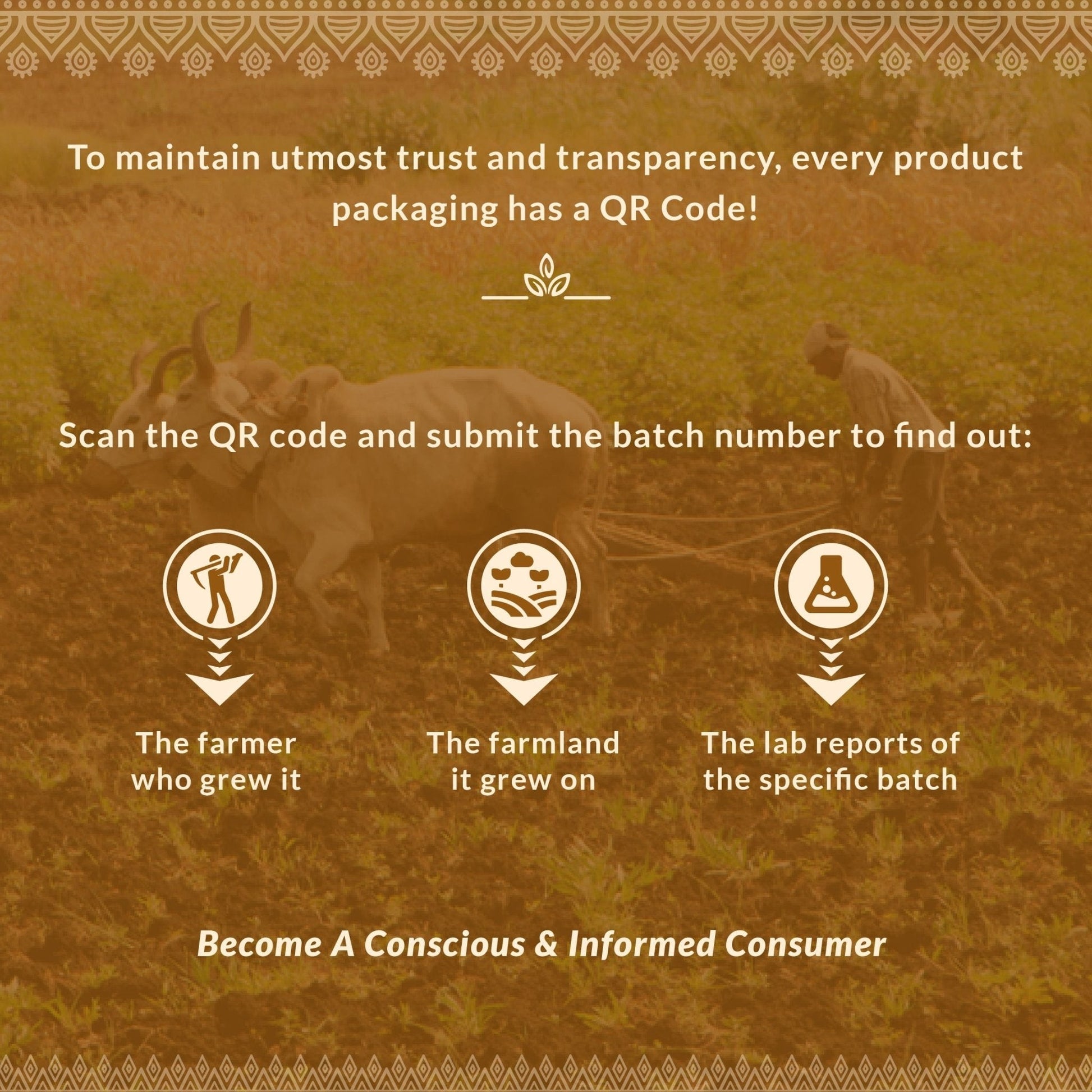 Health & Wellness Duo