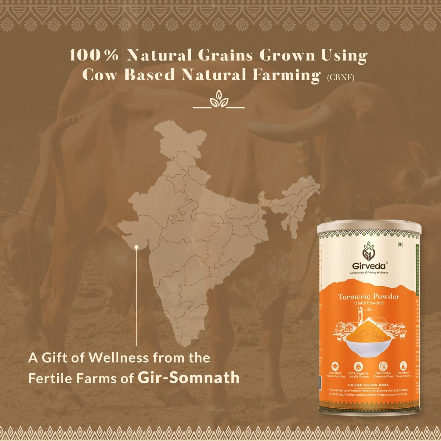 Turmeric Powder