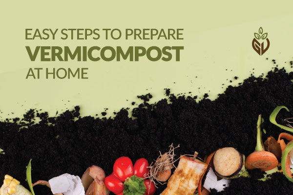Easy Steps to Prepare Vermicompost at Home