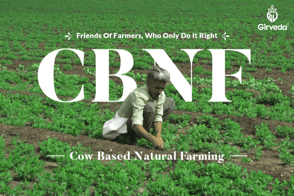 From Farm to Table: Girveda Bridges the Gap Between the Farmers Practicing CBNF and Consumers