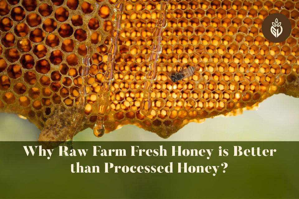 Why Raw Farm Fresh Honey is Better than Processed Honey?