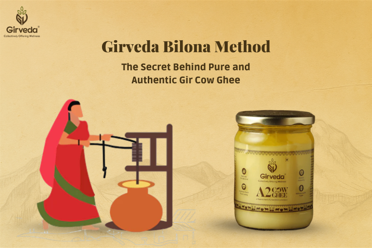 Girveda Bilona Method: The Secret Behind Pure and Authentic Gir Cow Ghee
