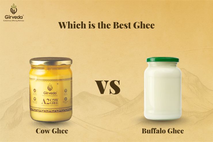 Which is the Best Ghee : Cow Ghee vs Buffalo Ghee