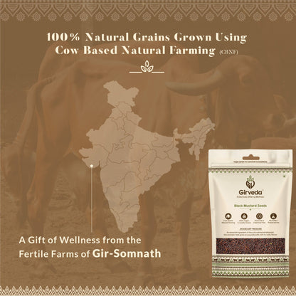 Black Mustard Seeds - Rai