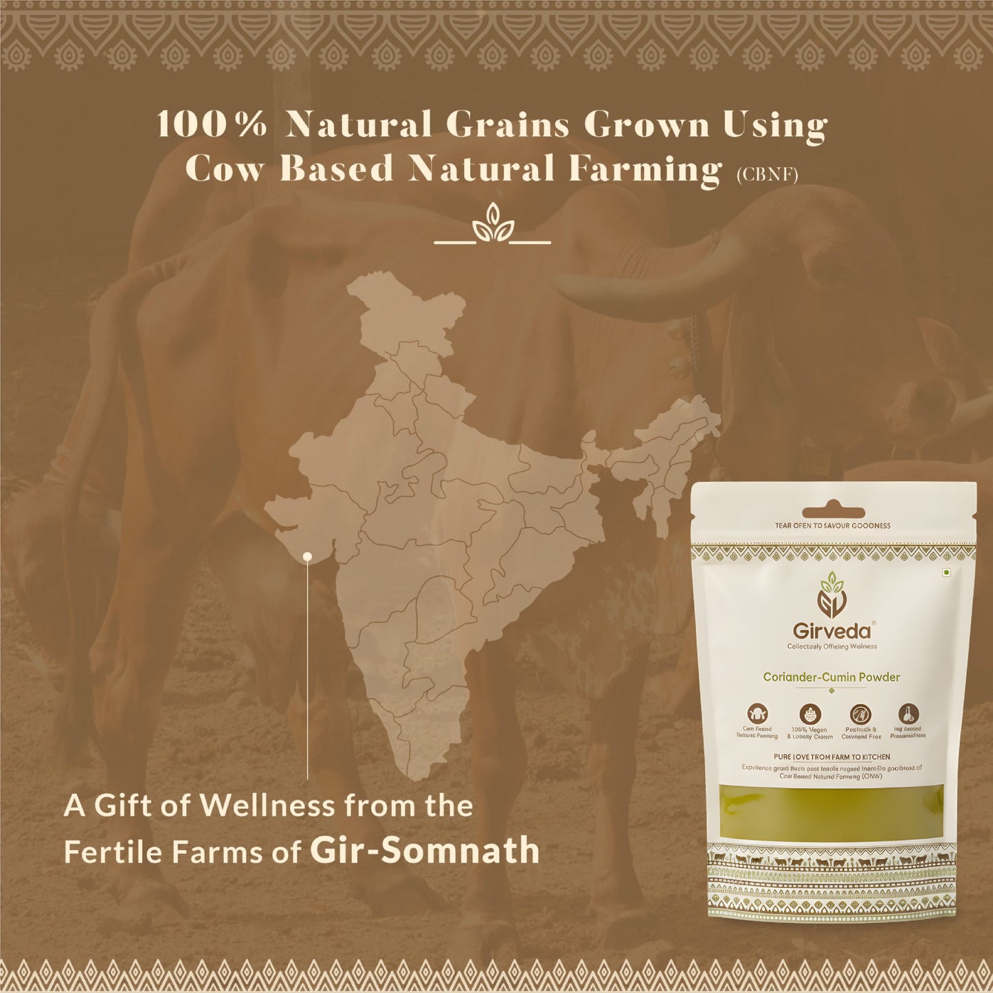 Coriander-Cumin Powder ( Dhaniya Jeera Powder )