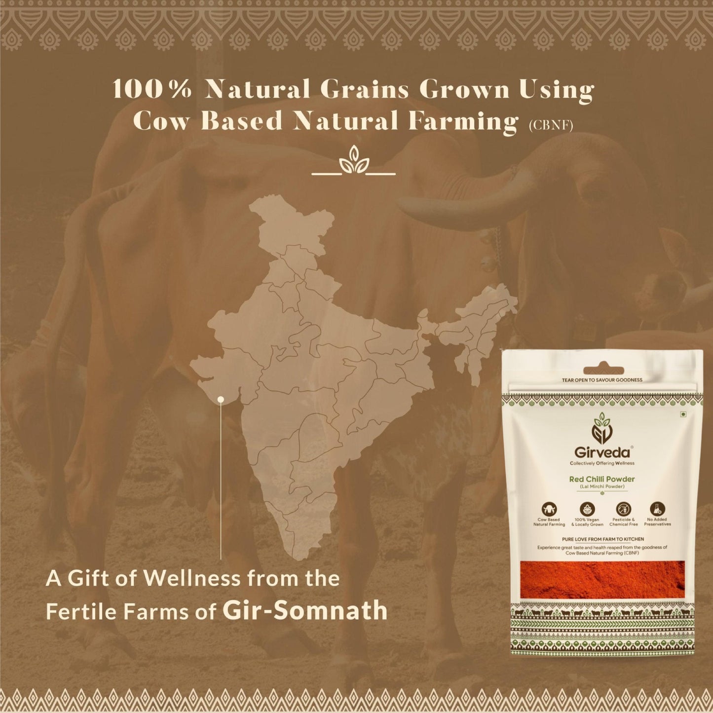 Girveda Red Chilli Powder – CBNF certified, Gir-Somnath farms