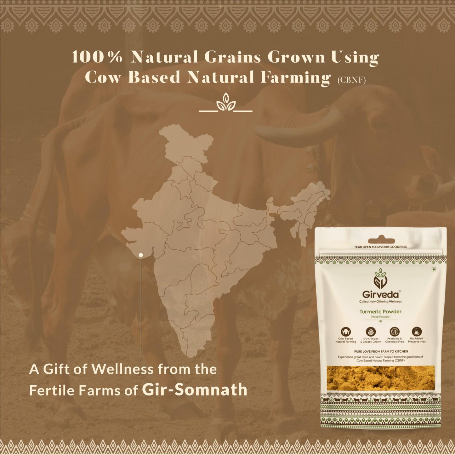 Turmeric Powder (Haldi Powder)