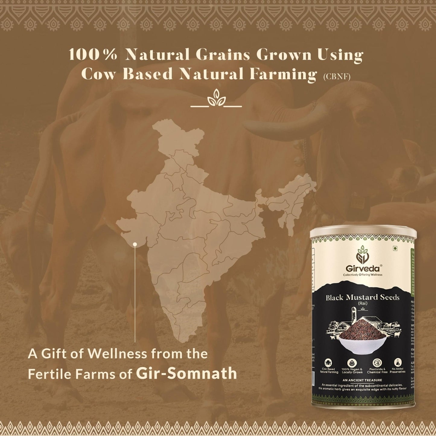 Black Mustard Seeds - Rai