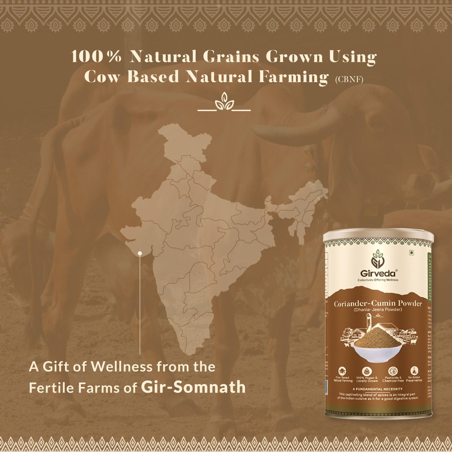 Coriander - Cumin Powder