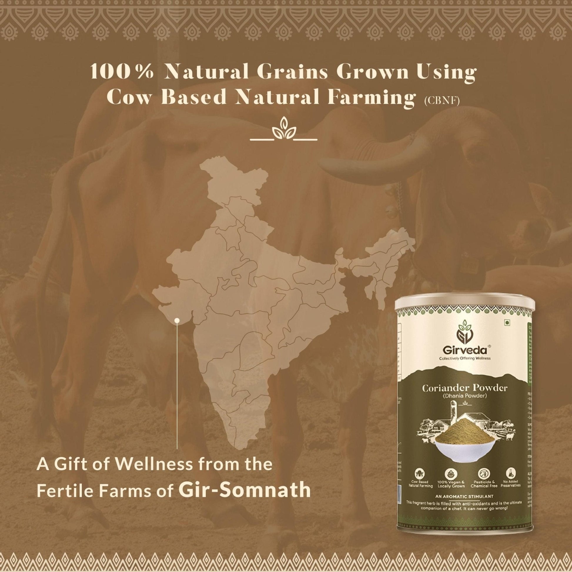 Coriander Powder - Dhania Powder