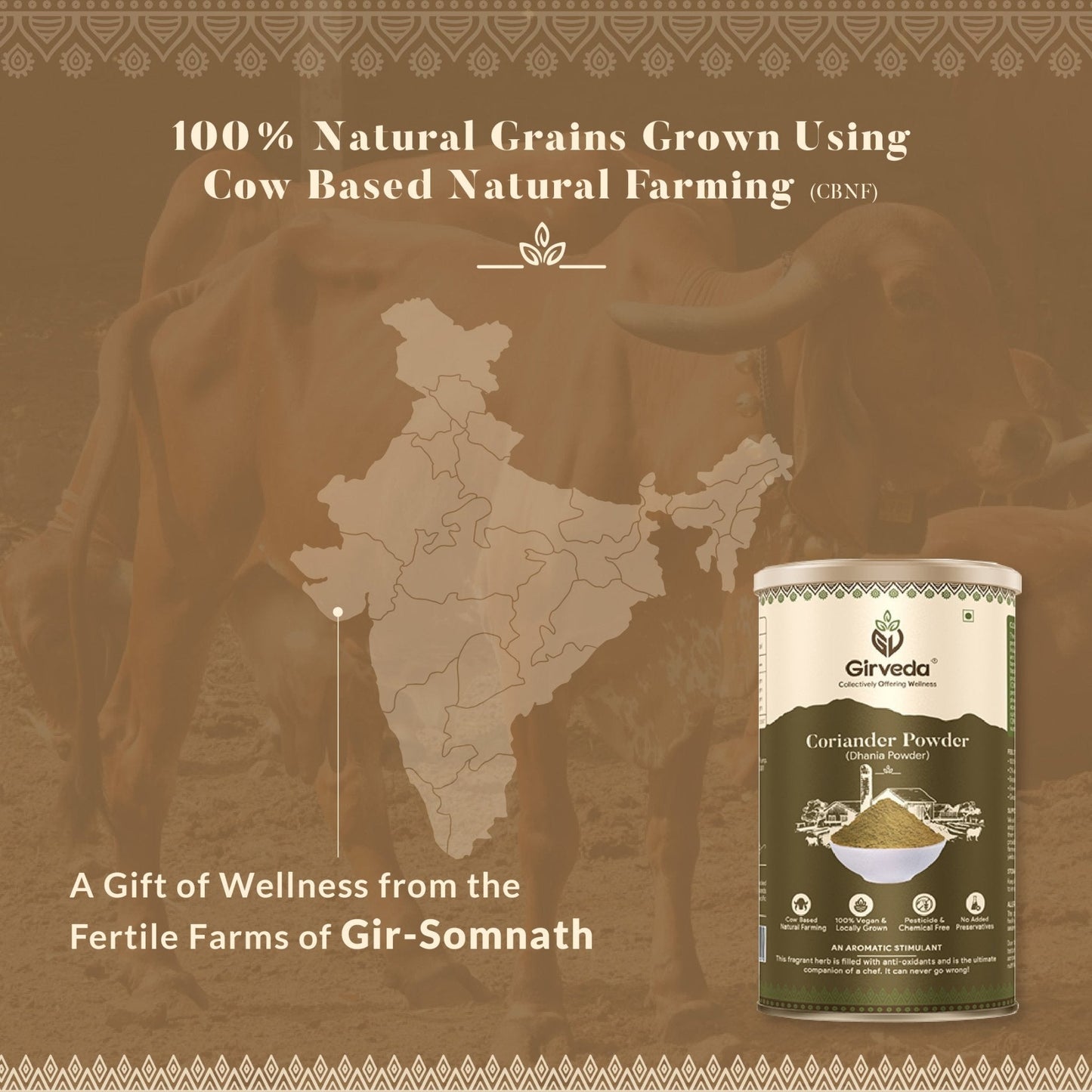Coriander Powder - Dhania Powder