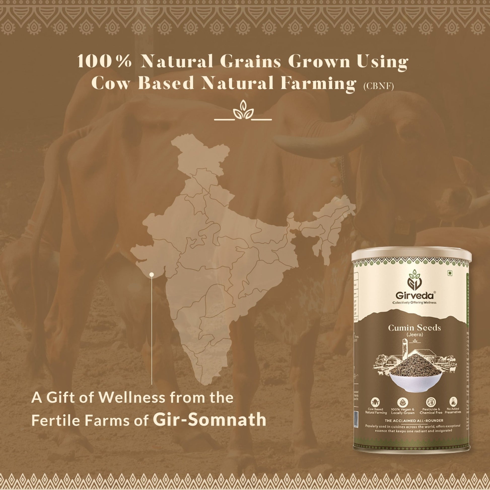 Cumin Seeds - Jeera
