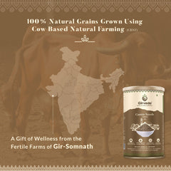 Cumin Seeds - Jeera
