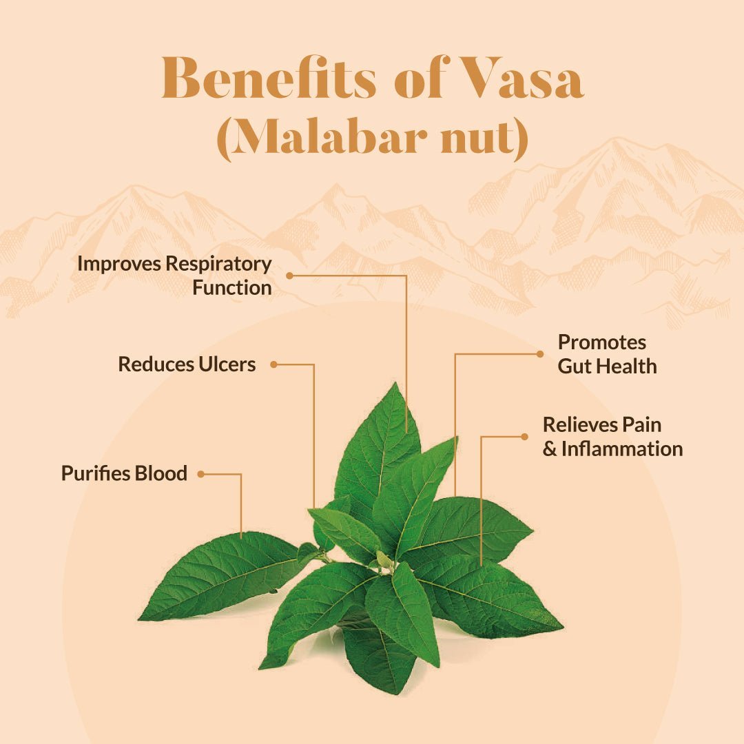 Vasa Ghee 200Ml